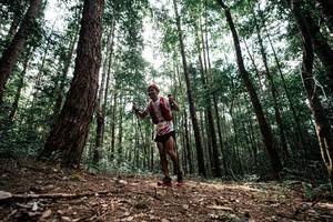 BIB: 
                            <button type="button" onclick="openModal(25261224)" class="btn btn-primary btn-sm float-right btn-popup" data-toggle="modal" data-target=".modal-high-quality">
                        <i class="fas fa-shopping-cart"></i> Add to Cart
                    </button>
                                            <button type="button" onclick="isThisMe(25261224, true)" class="btn btn-success btn-sm float-right btn-popup btn-isme hidden" data-toggle="tooltip" data-placement="bottom" title="นี่คือรูปของคุณใช่ไหม คลิกที่นี่เพื่อเอาเข้าอัลบั้ม">
                        <i class="fas fa-plus"></i> Add to album
                    </button>
                    <button type="button" onclick="isThisMe(25261224, false)" class="btn btn-warning btn-sm float-right btn-popup btn-isnotme hidden">
                        <i class="fas fa-ban"></i> Remove from album
                    </button>